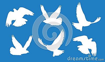 Pigeon Columba in flight silhouettes set Vector Illustration